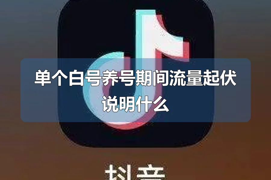 单个白号养号期间流量起伏说明什么
